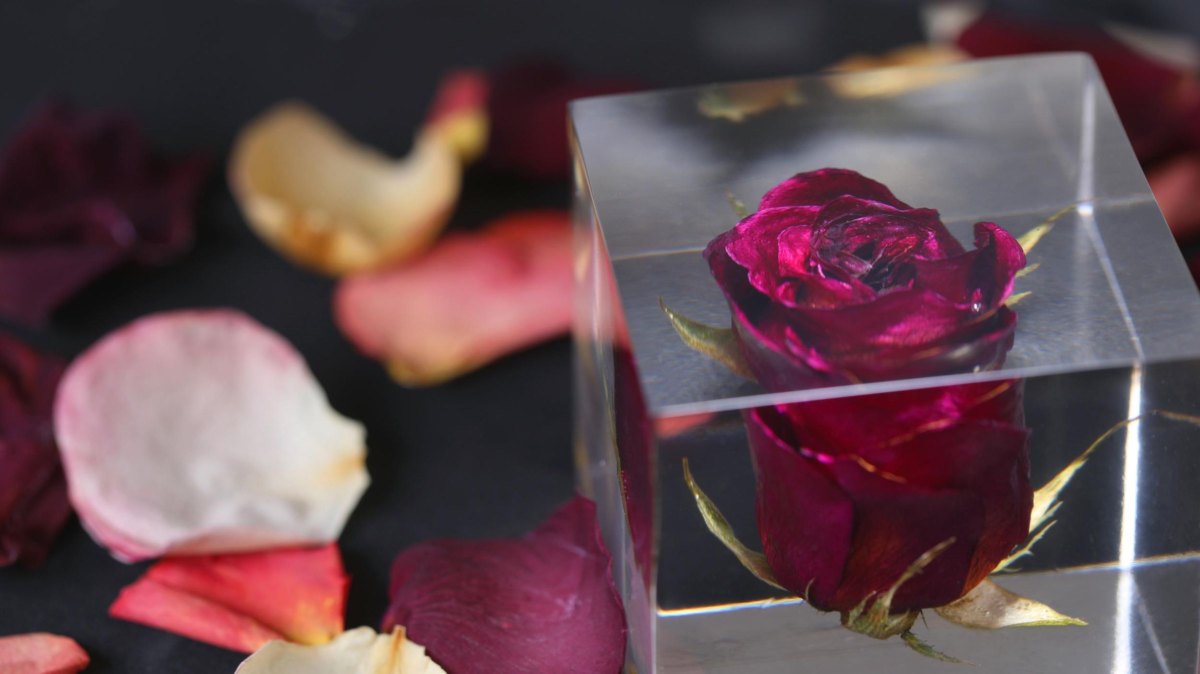 How to Cast Flowers in Epoxy Resin DIY Resin Rose Paperweight! 8