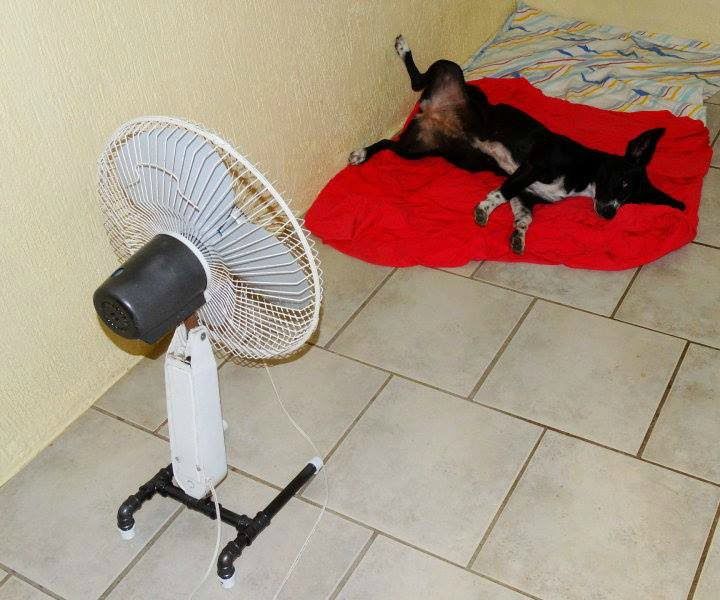 New Life for a Old Fan Found in Trash