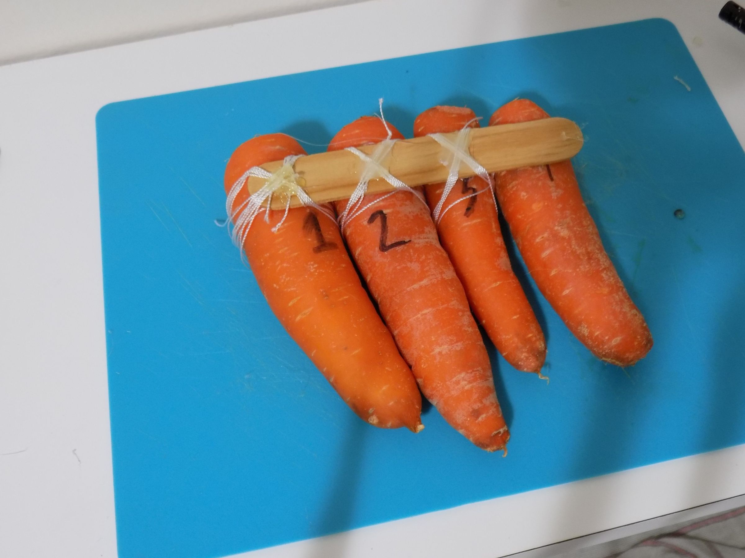 Carrot Pan Flute 4 Steps (with Pictures) Instructables