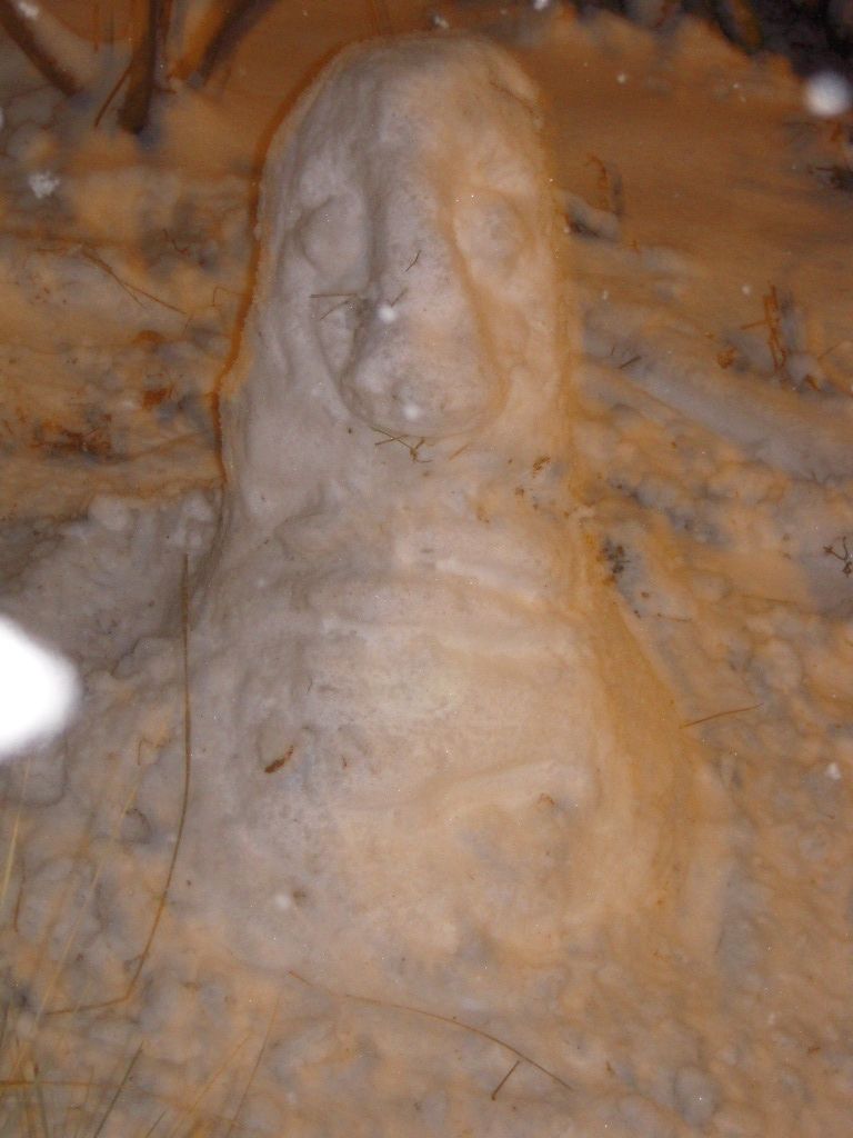 Snow Moai