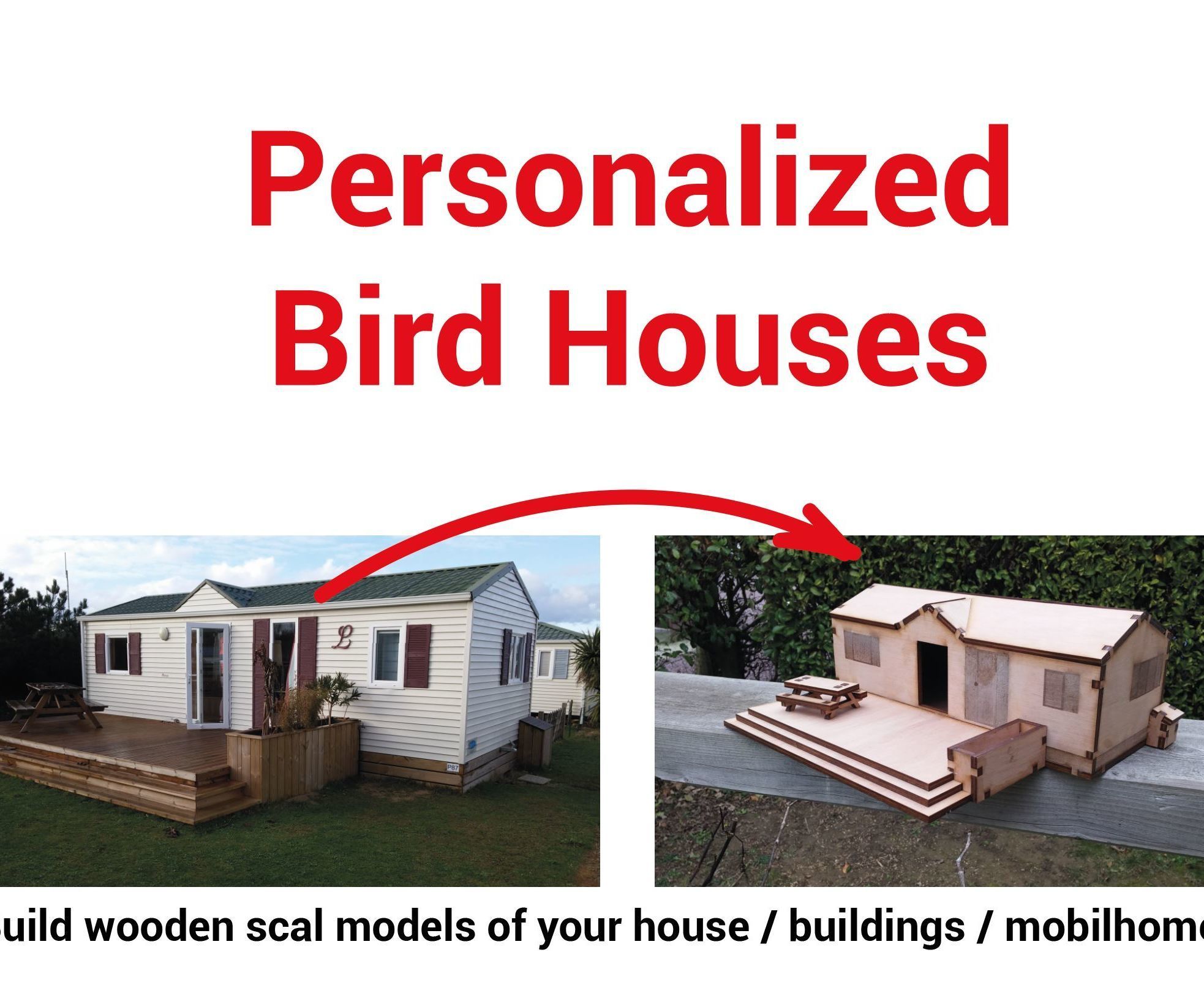Why Birds Couldn't Have the Same House Than You?