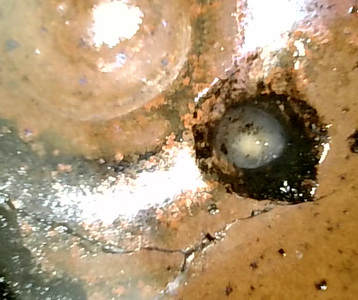 How to Tell If an Egg Is Bad