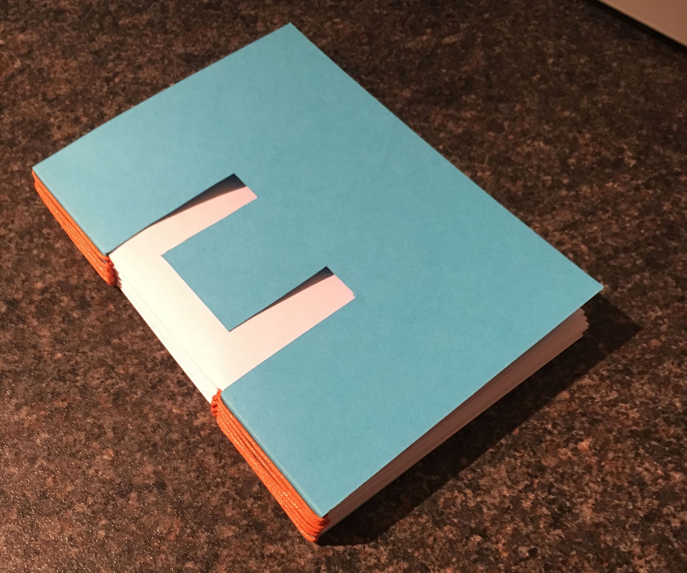 Button Hole Stitch Notebook.