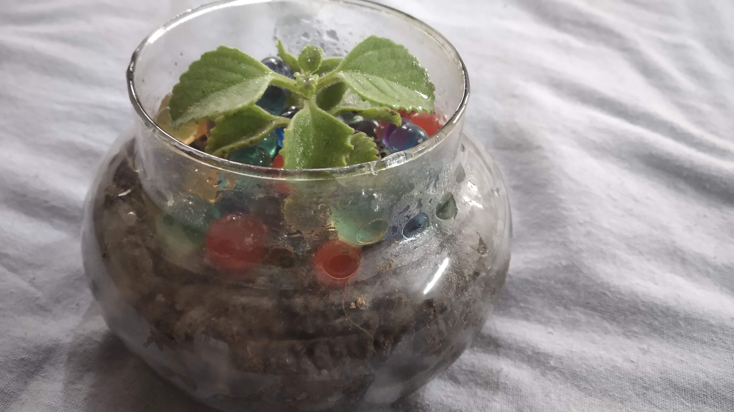 Terrarium Home Decor 5 Steps Instructables