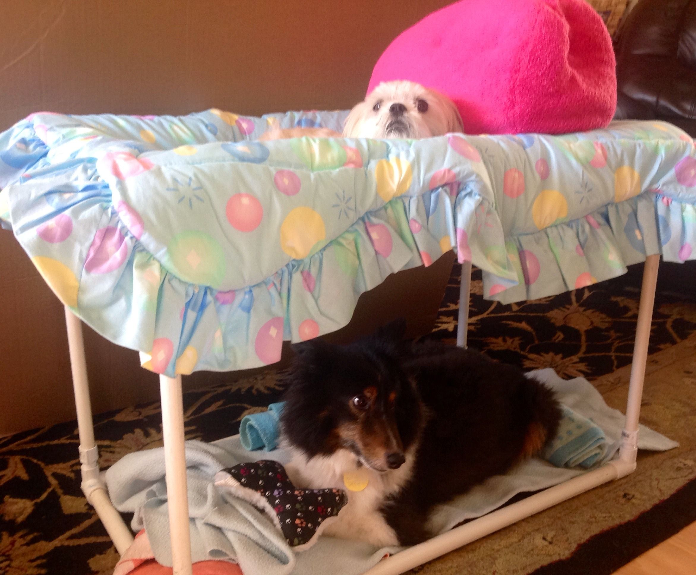 PVC Dog Bunk Bed 5 Steps Instructables