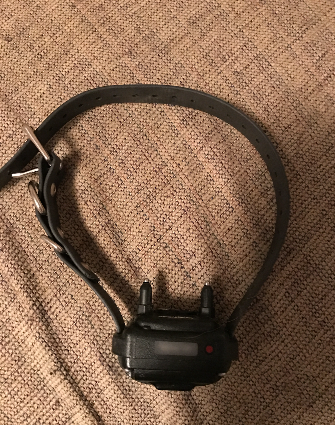 How to Train Your Dog Using an Electric Collar 3 Steps Instructables
