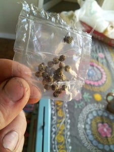 Sealed for Future Use