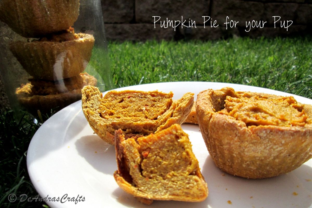 Pumpkin Pie Treats for Your Pup