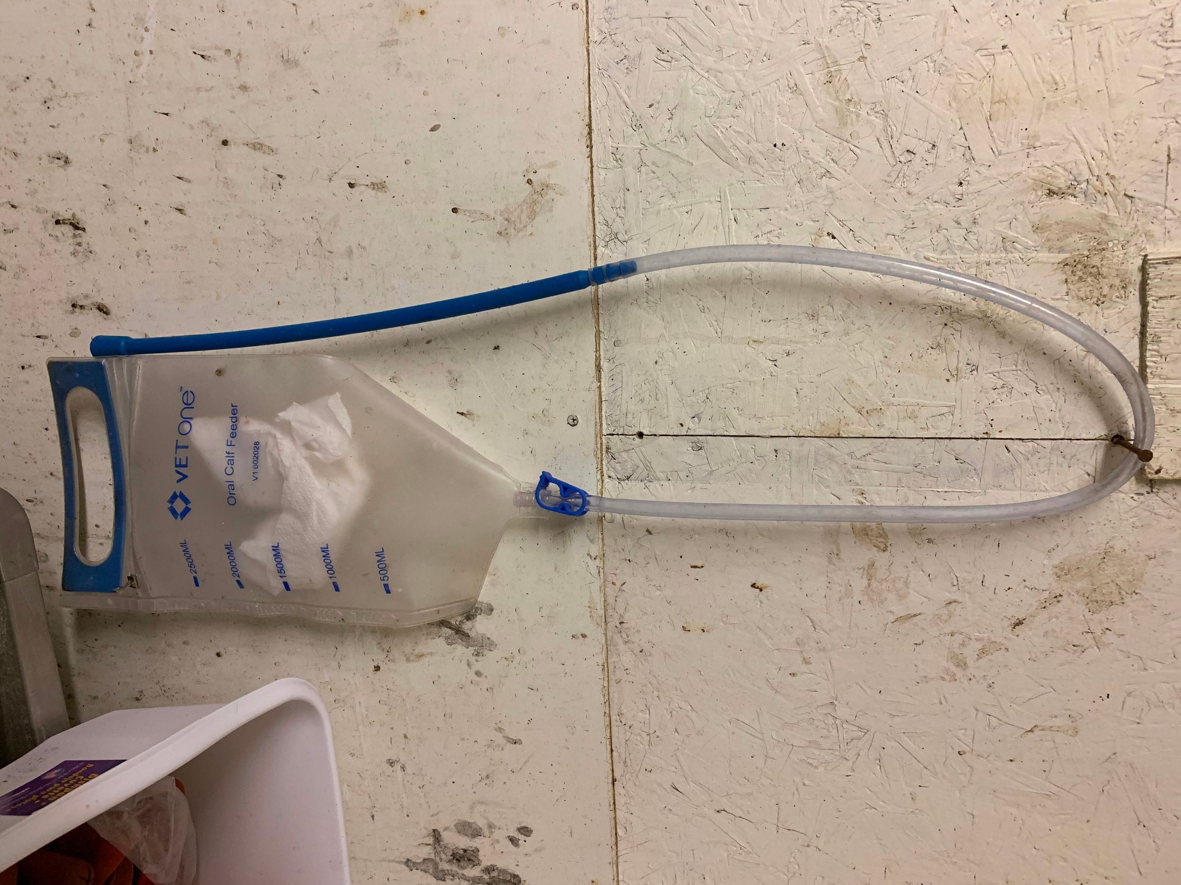 Tube Feeding a Calf 5 Steps Instructables