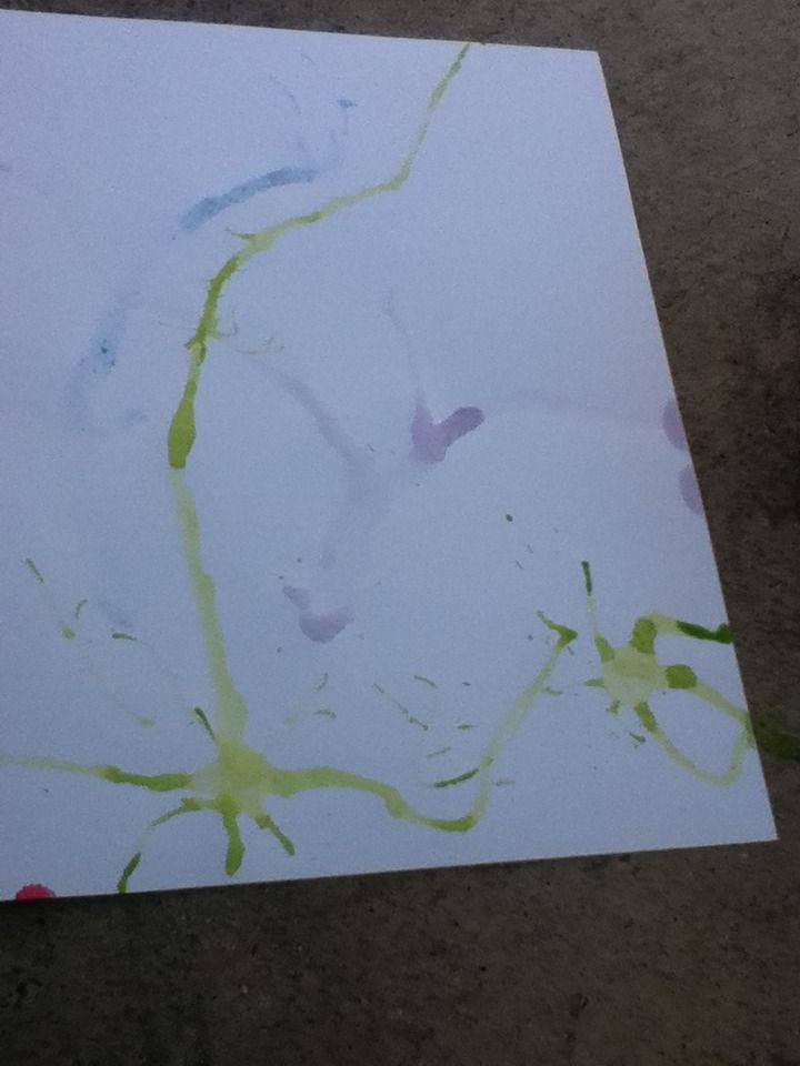 Paint Blowing!