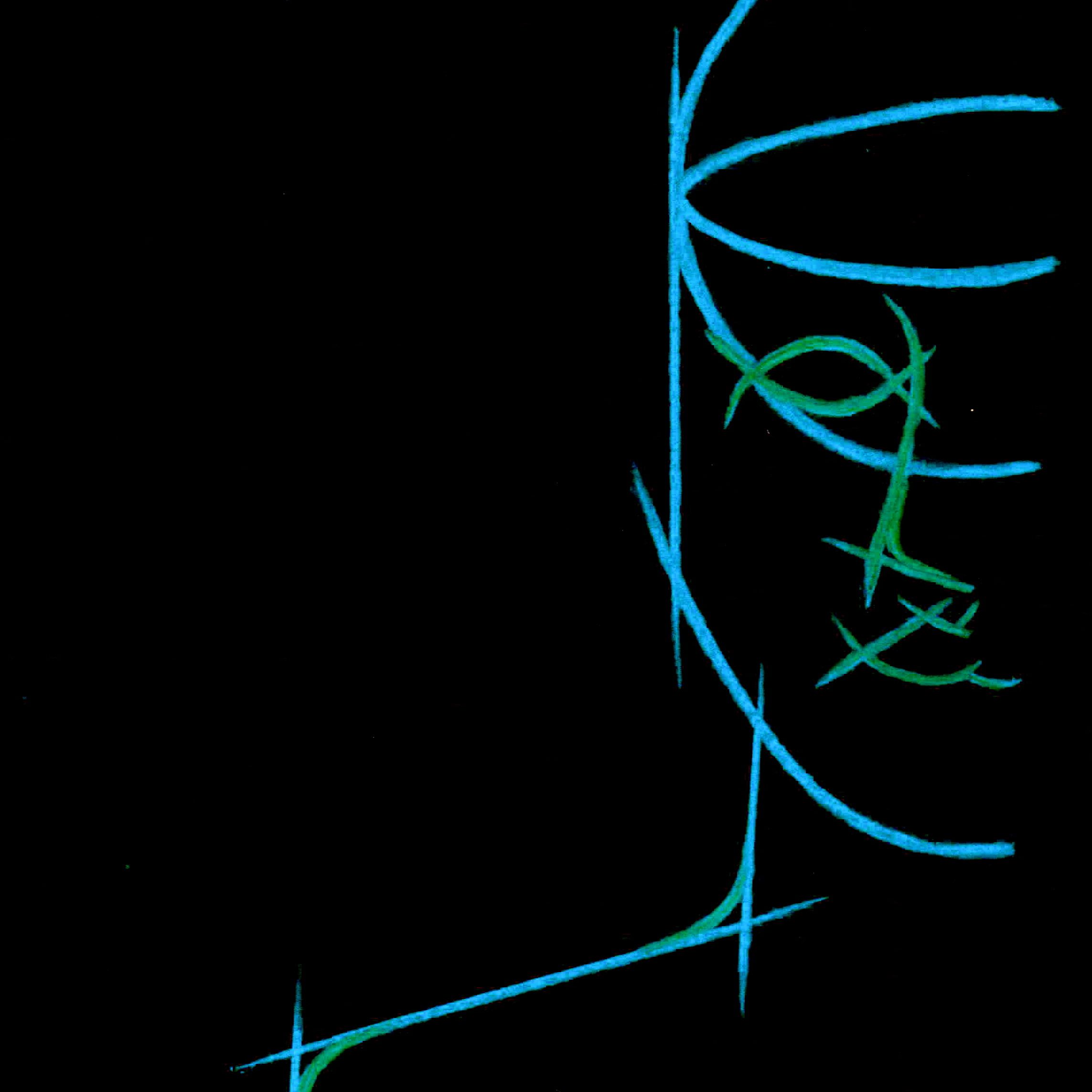 PaleoPunk