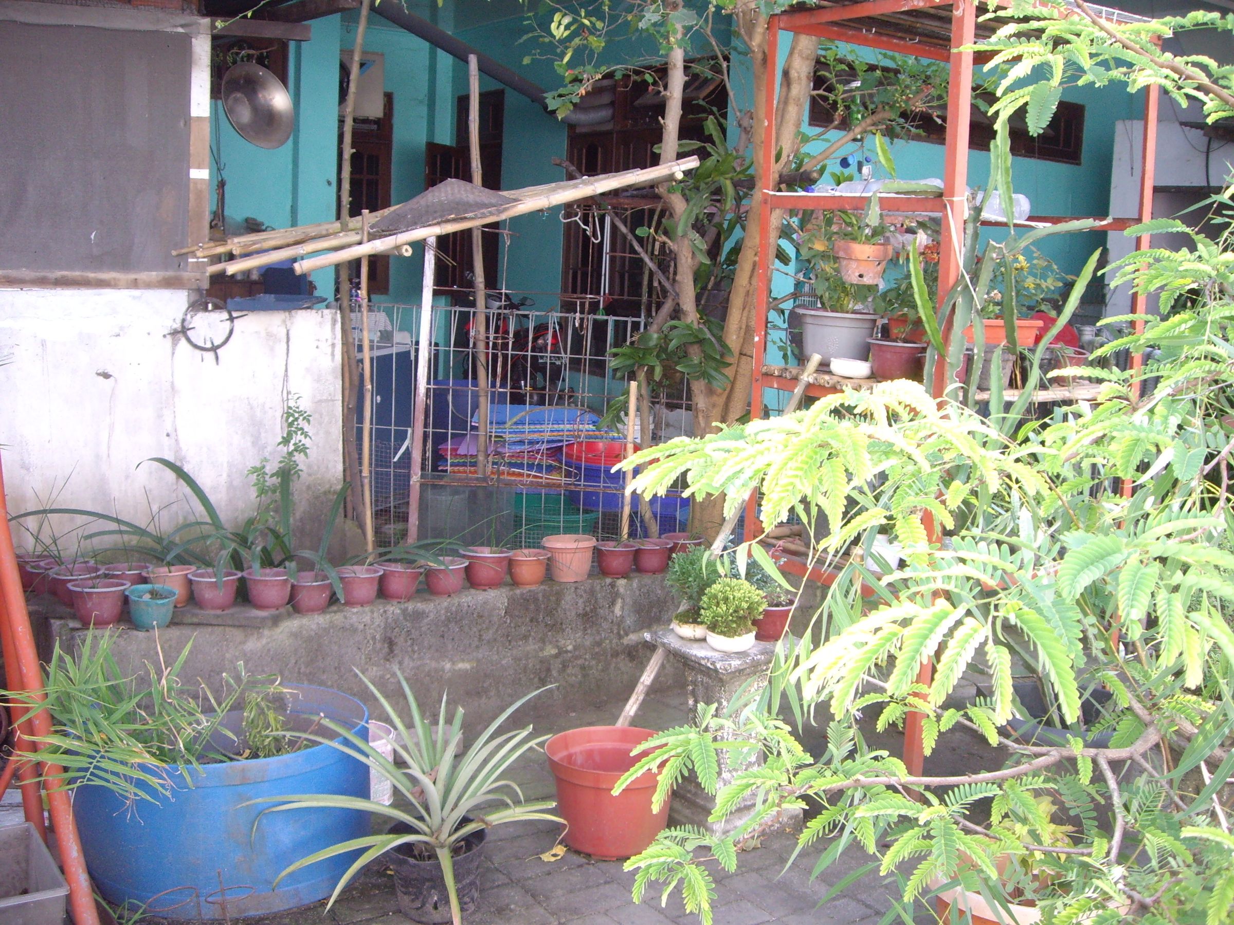 My Garden