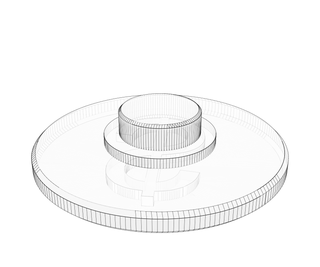 download {{ file.name }}