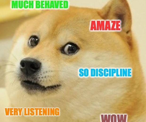 How to Properly Train Your Dog