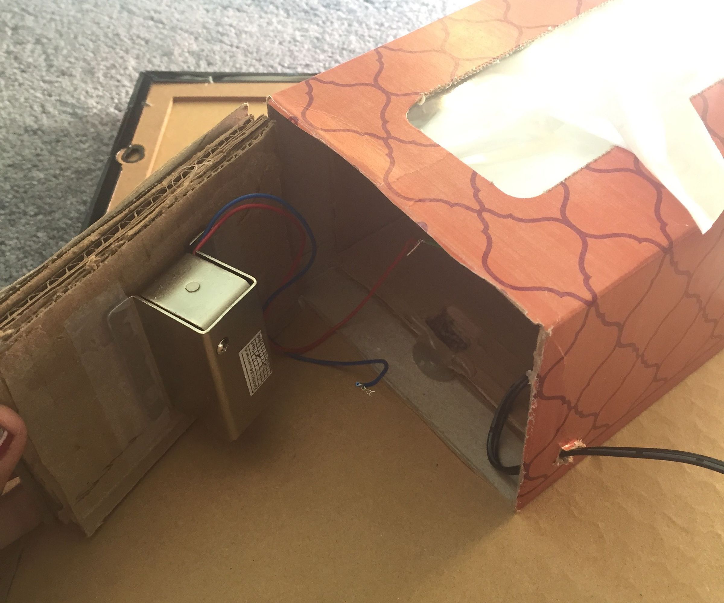 Secret Locked Tissue Box