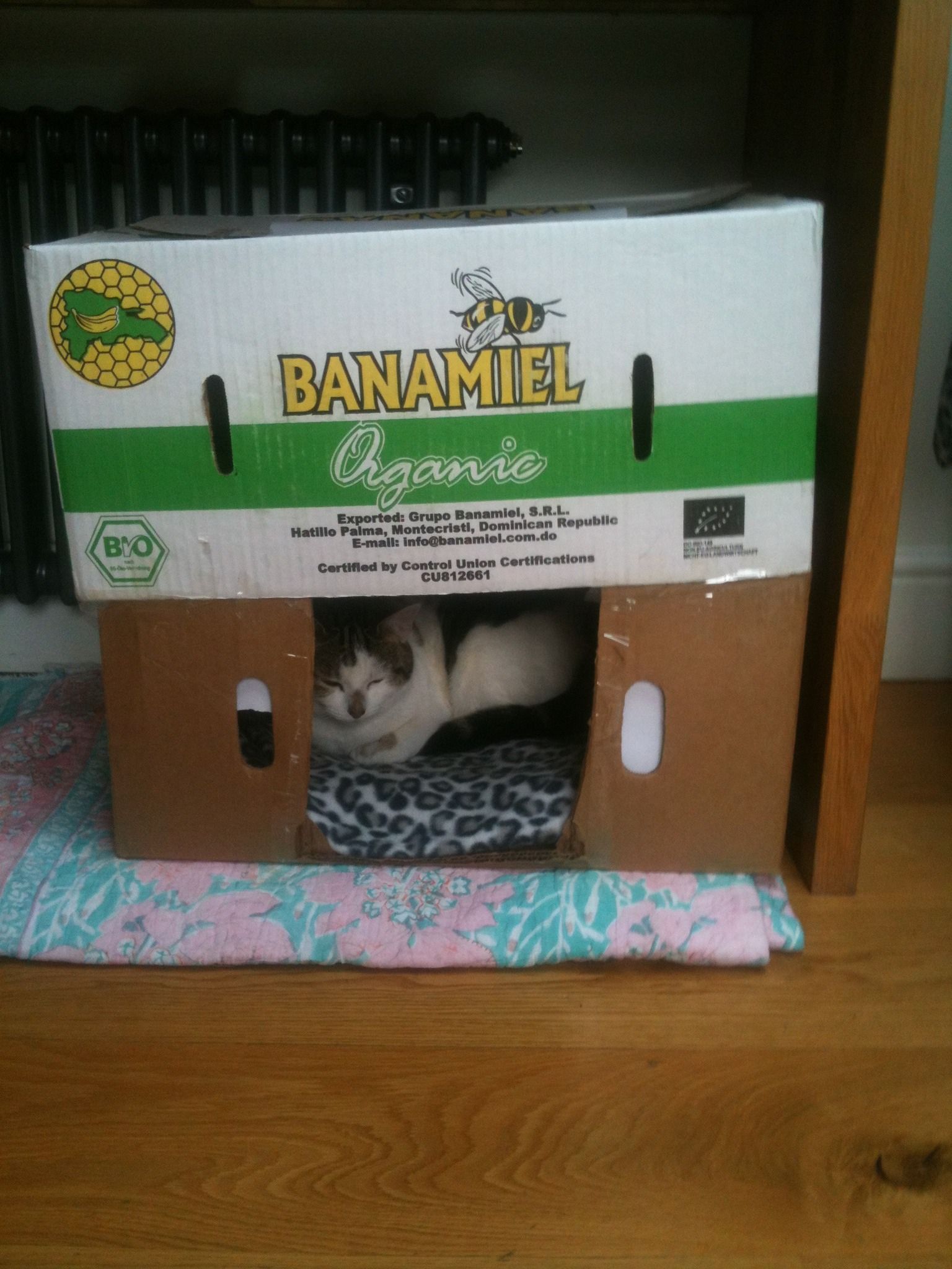 How To Make A Cat House