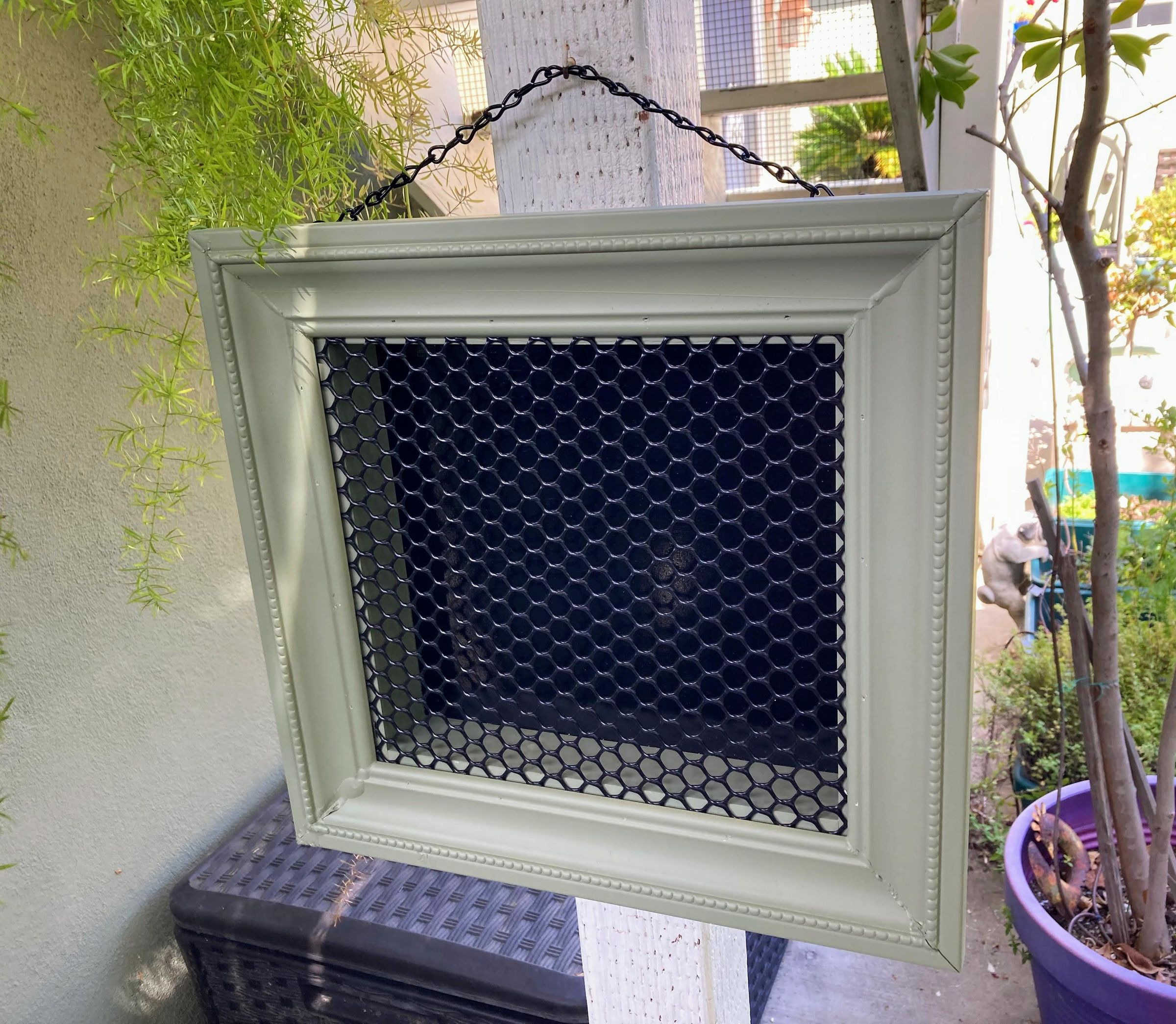 Plastic Wall Hanging Box for Succulents With Frame 3 Steps