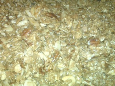 Become a Granola Making Liberal