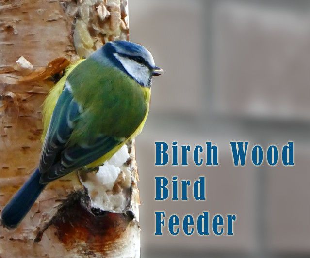 Birch Log Bird Feeder