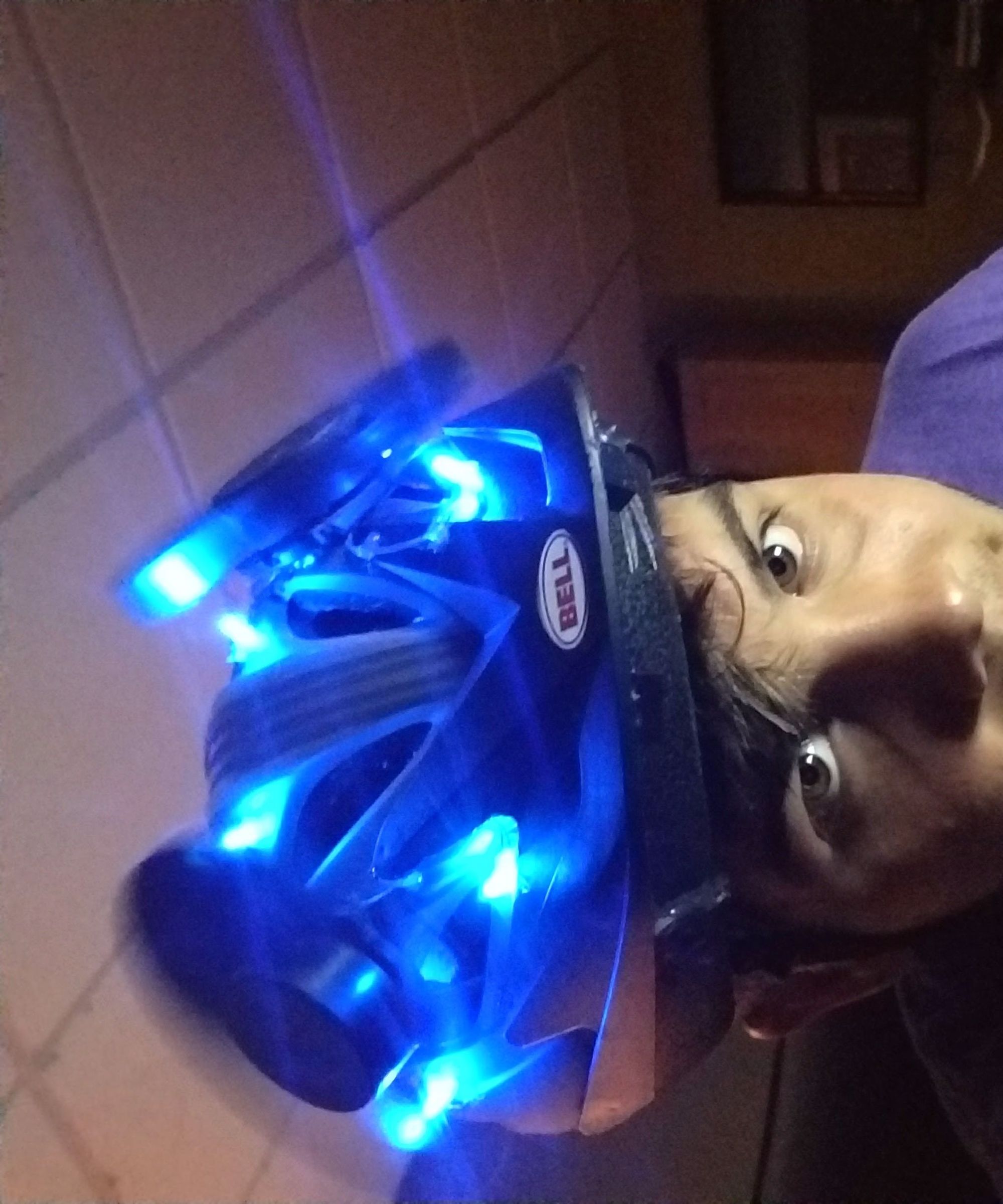 Air Conditioned Biking Helmet (Made From Recycled Computers)