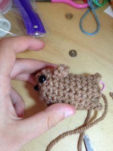 Dog Body: Close Work