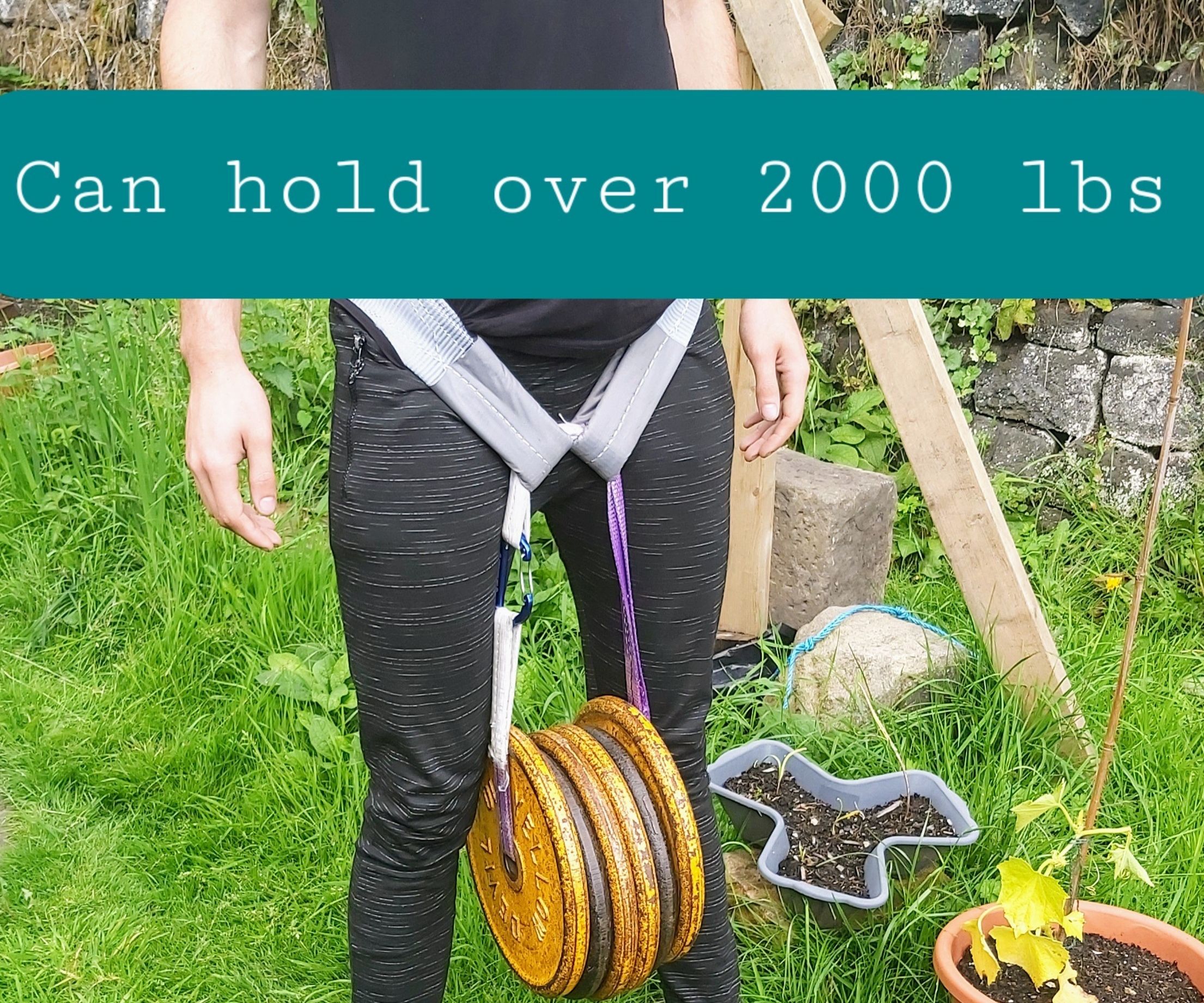 Worlds Strongest Dip Belt?