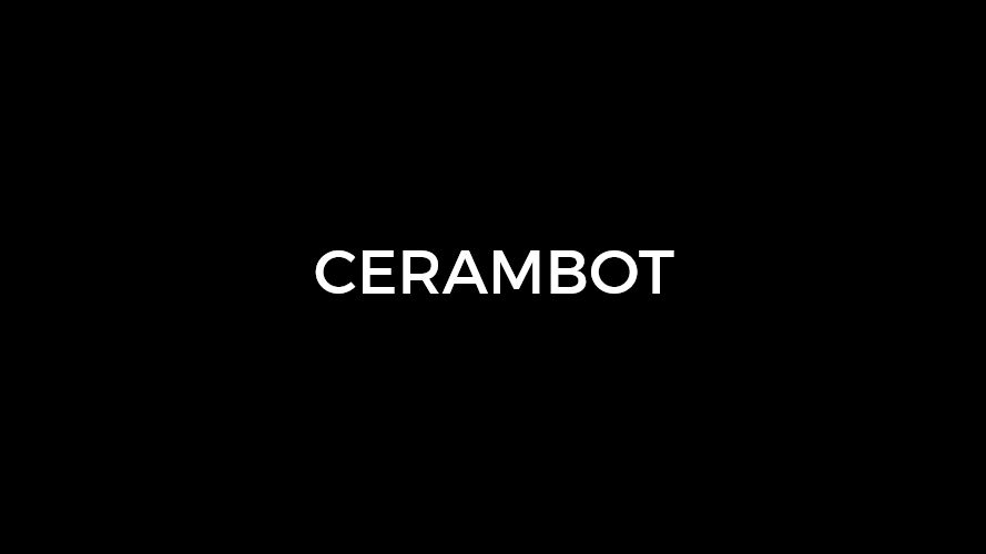 CERAMBOT3D