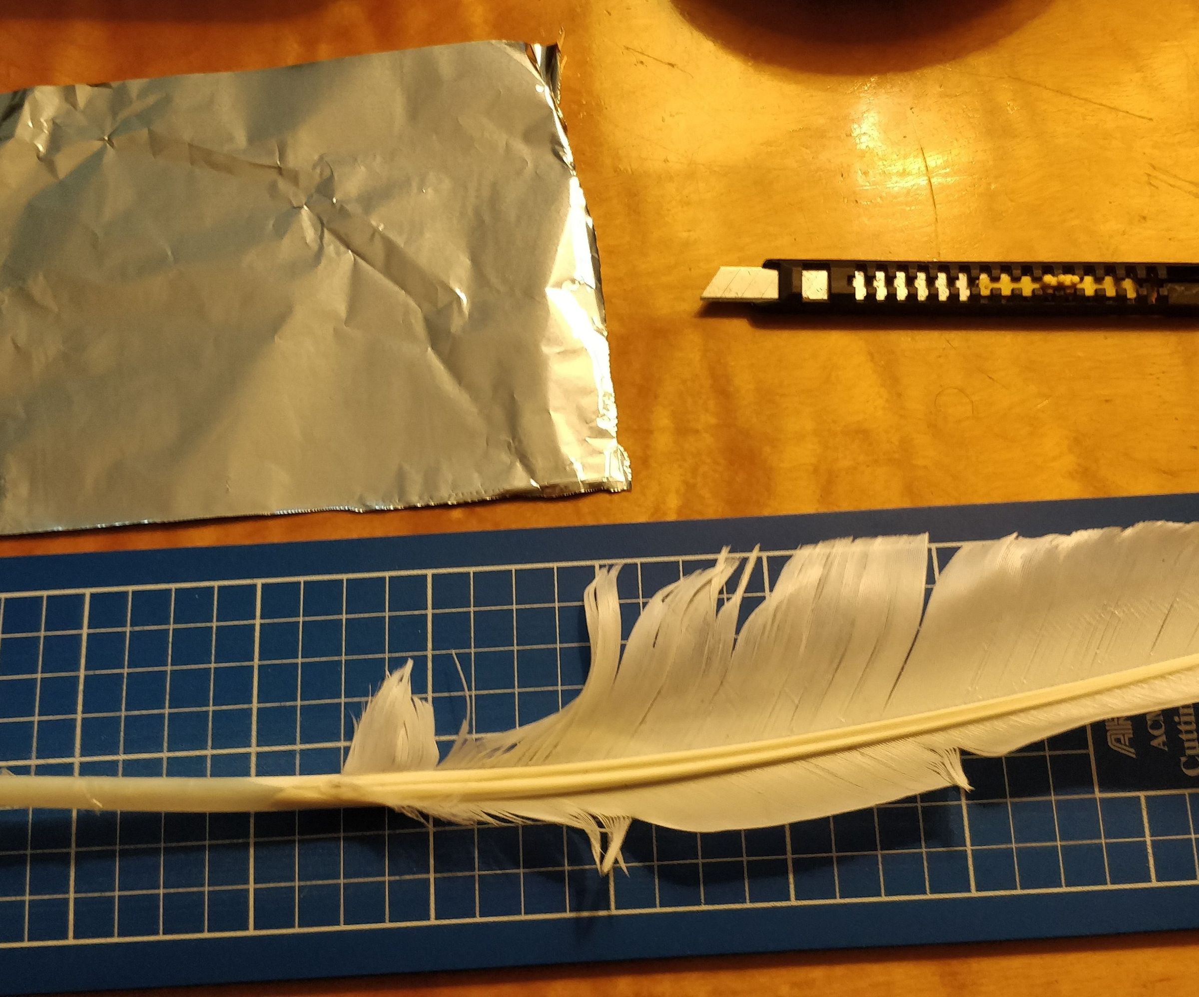Writing Quill From a Goose Feather