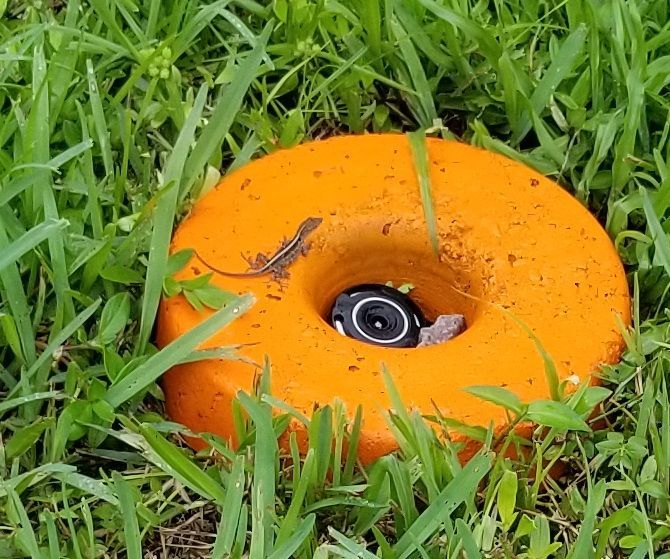 Simple Oversize Concrete Donut Sprinkler Protector