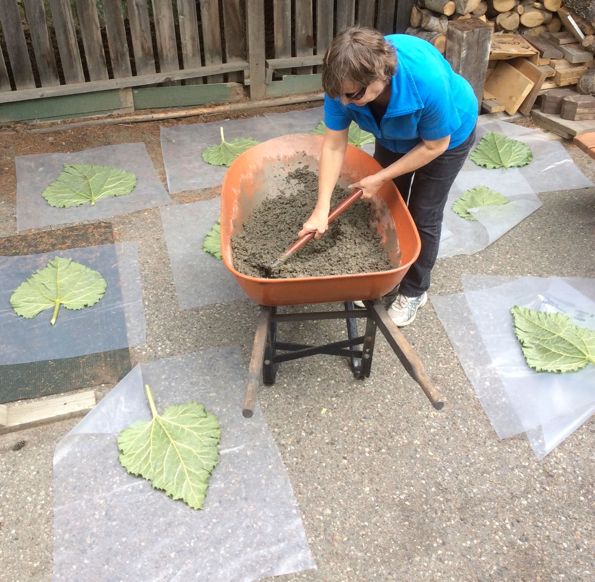 Rhubarb Leaf Stepping Stones 3 Steps (with Pictures) Instructables
