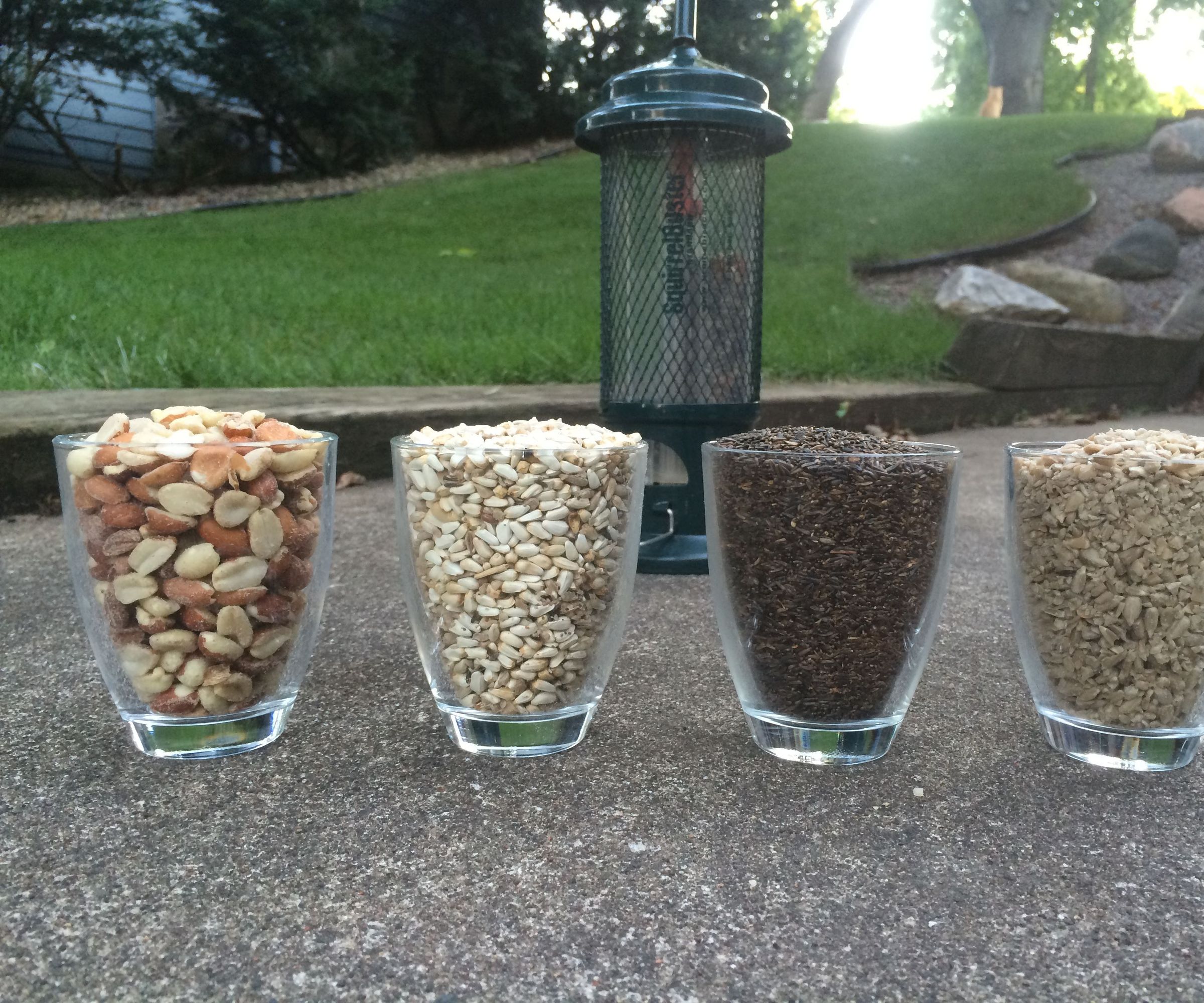 Premium Birdseed Recipe - No Fillers