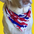 How to Make a Natural Flea Remedy for Dogs