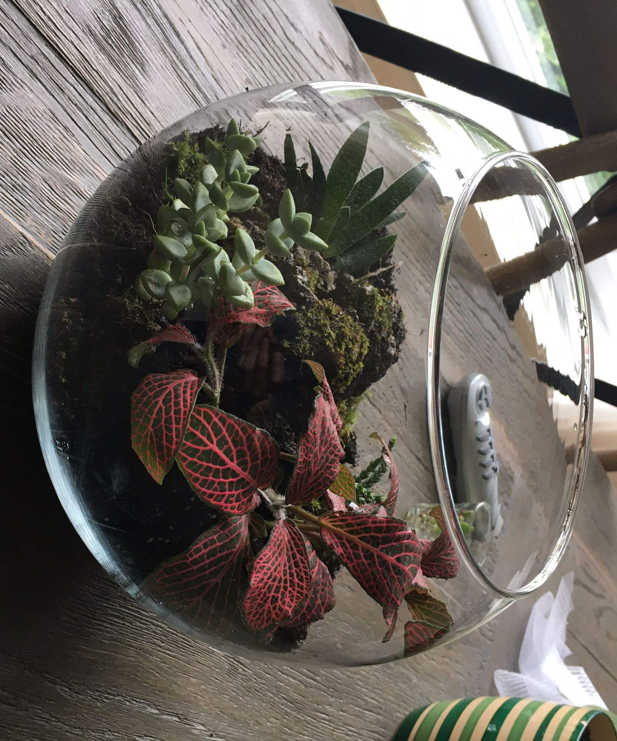 Homemade Terrarium