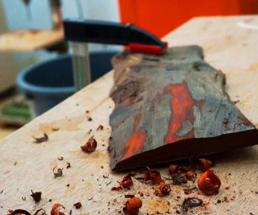 From Tree Bark to Comb