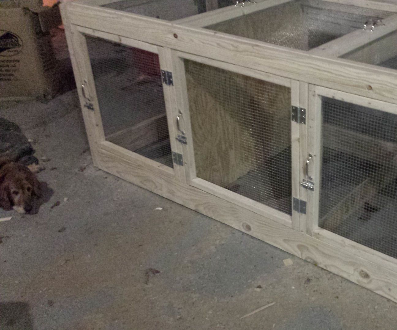 Chicken Brooder