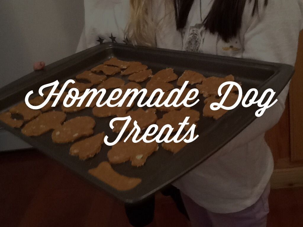 Homemade Vegan Dog Treats