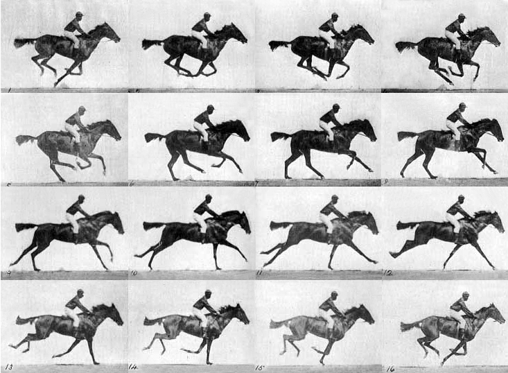Interactive Model of the Horse in Motion : 8 Steps (with Pictures ...