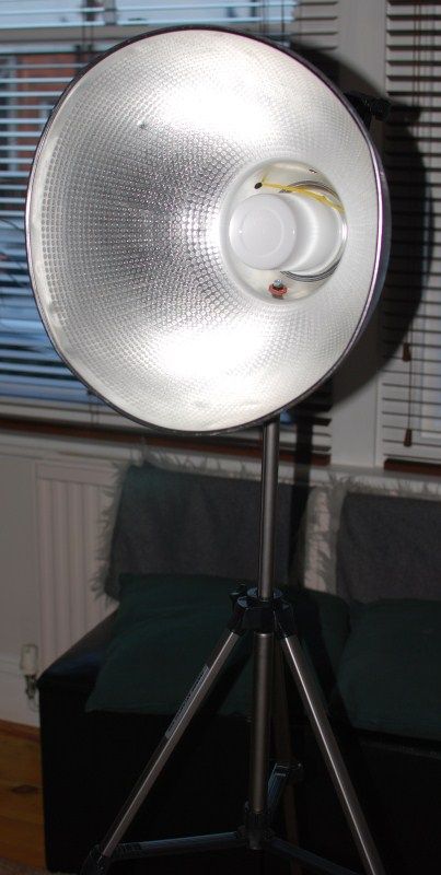 Habitat "Fred" Beauty Dish