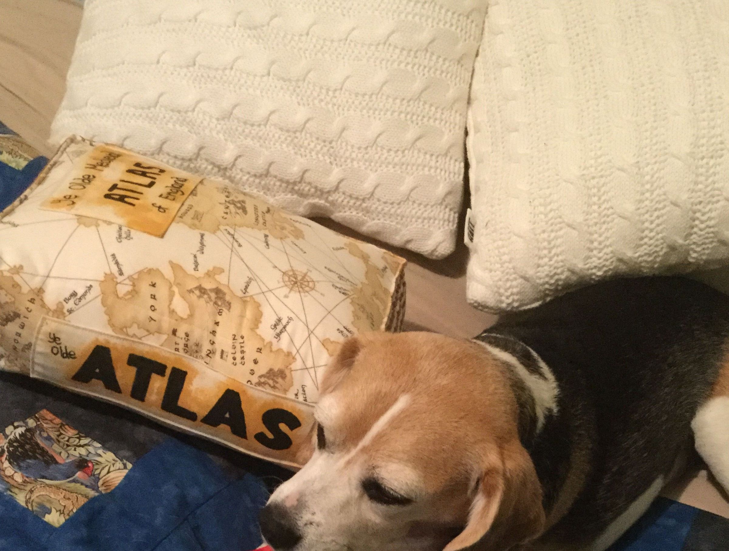 Snuggle Up With a Good Book Pillow