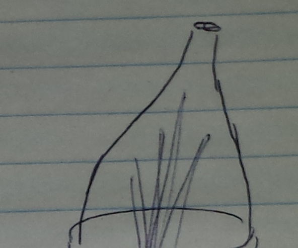 Greenhouse With Reused Soda Bottles 