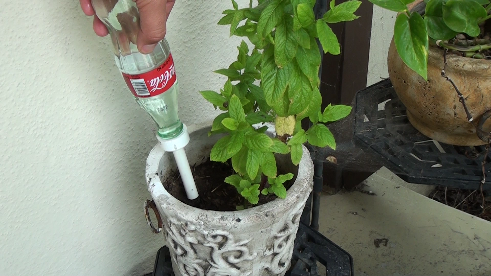 Turn a Glass Coke Bottle in to a Plant Waterer