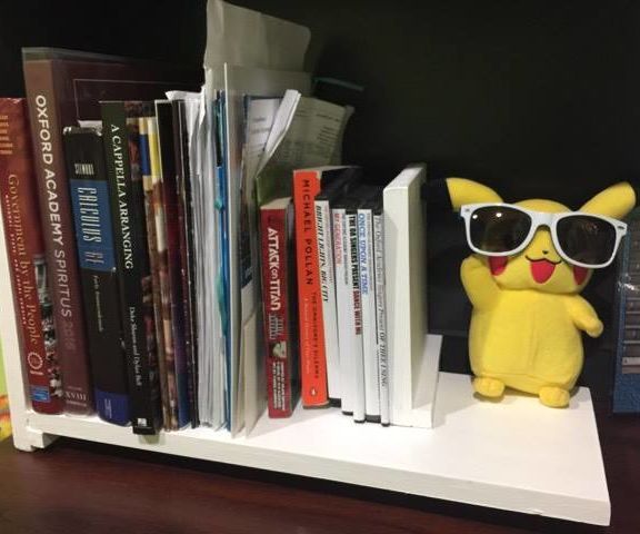 Bookshelf With a Non-Sliding Bookend