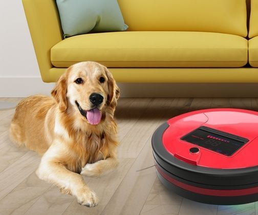 Robot Vacuum and Mop
