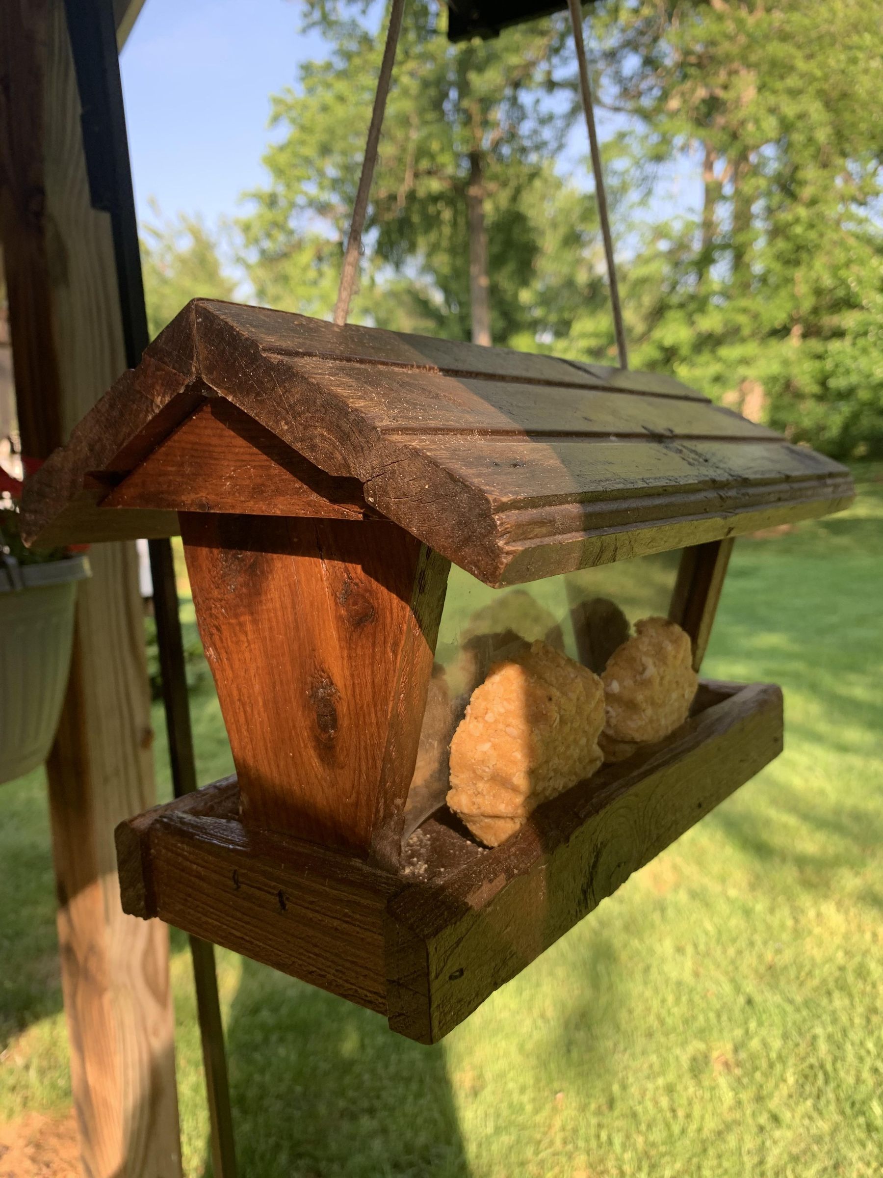 Easy Suet for the Birds 13 Steps (with Pictures) Instructables