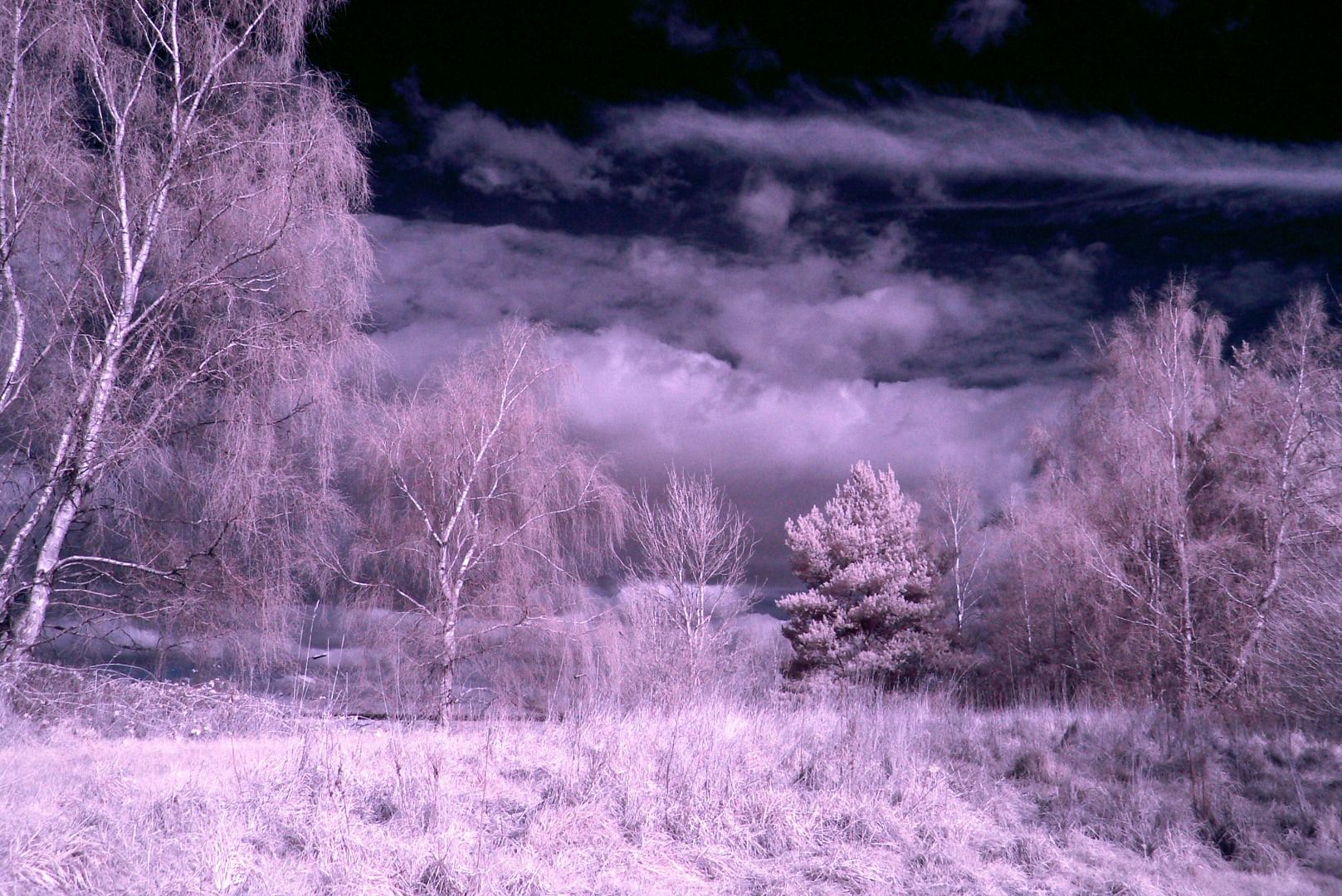 Converting a Lumix DMC FZ-7 Camera to Infrared : 8 Steps (with