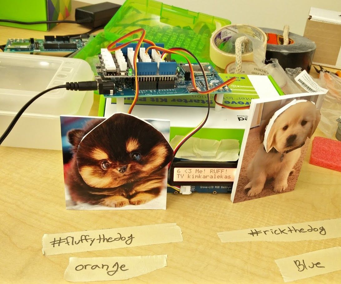 Intel Edison, Twitter API, and Cute Dogs