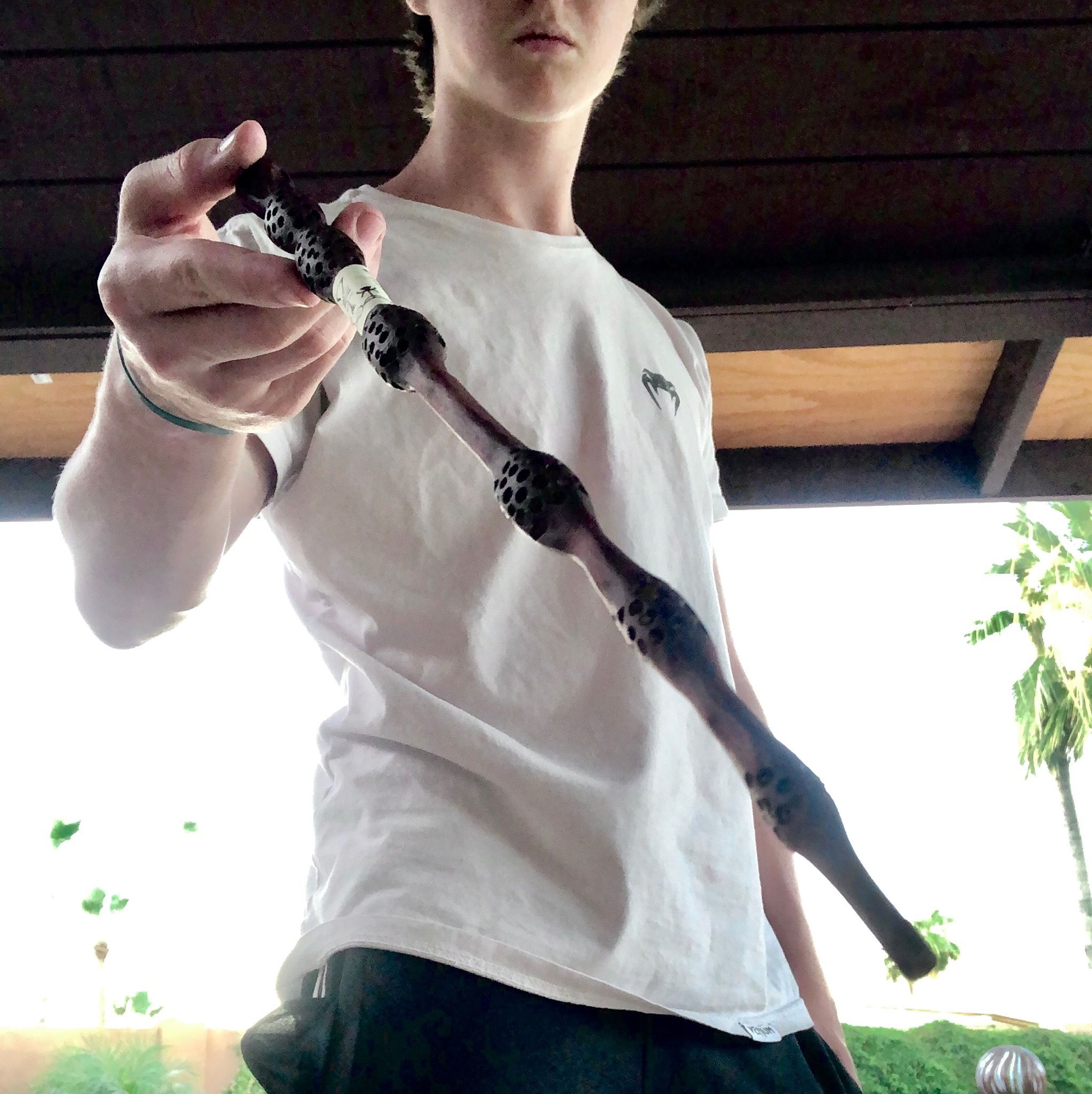 Elder Wand From Harry Potter - Image 1