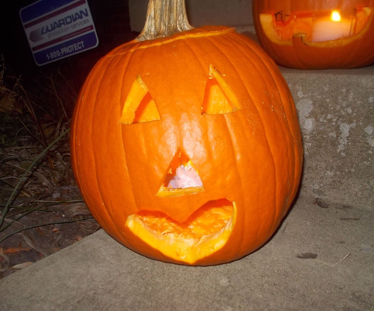 Pumpkin - Heart Shaped