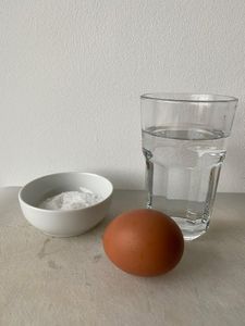 7. Checking the Freshness of an Egg