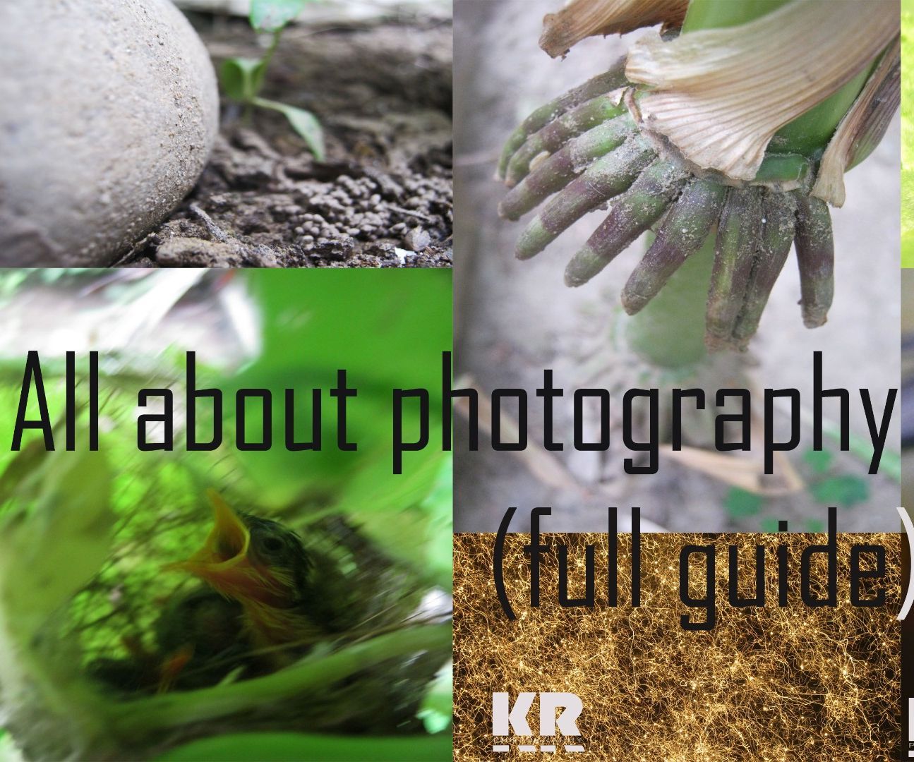 All You Need to Know About Photography